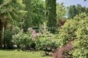 Villa di campagna ristrutturata con giardino all’italiana, in vendita, Sarcedo | Sotheby’s Realty Italy - 6