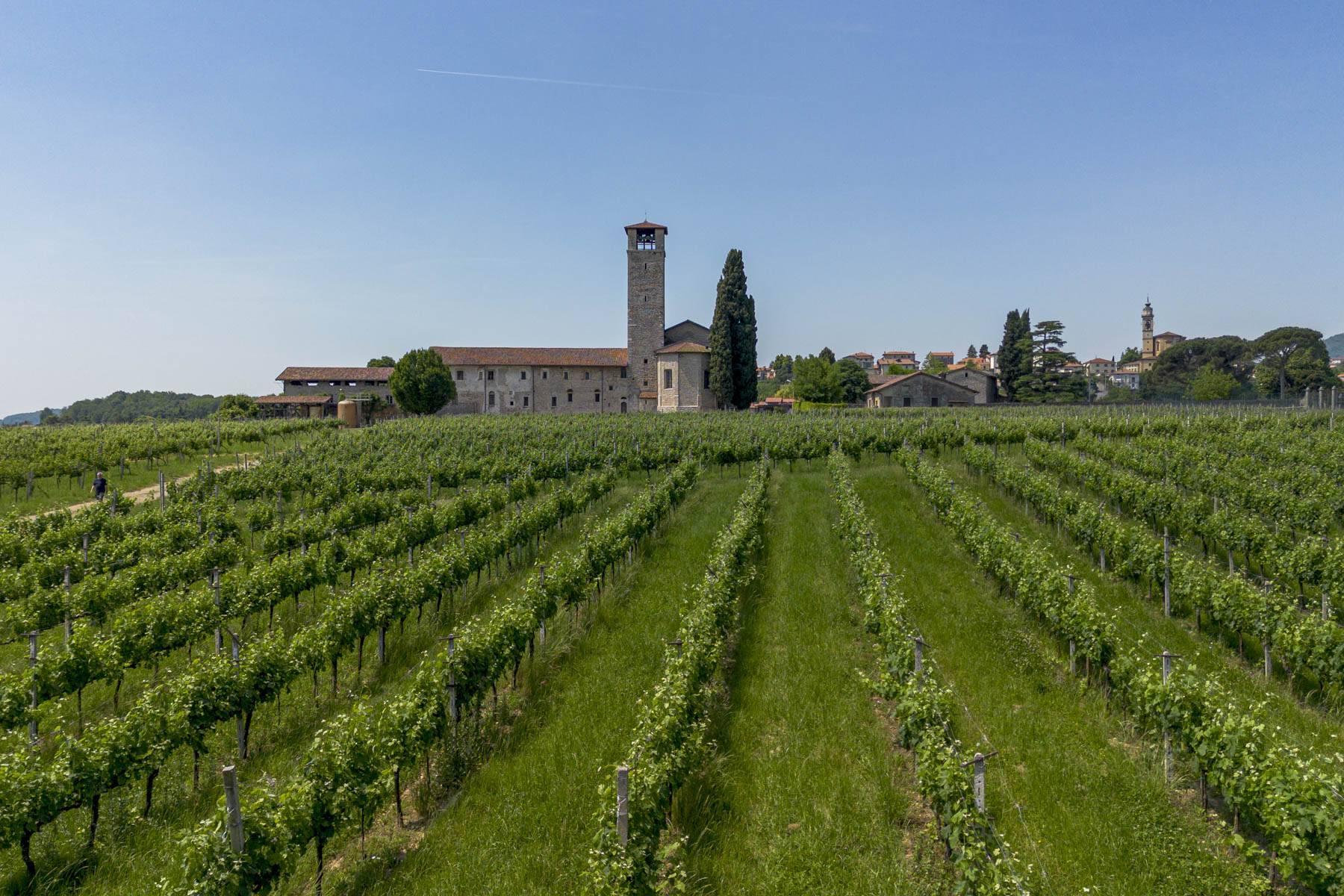 Historic agricultural estate with vineyards and heritage complex - 1