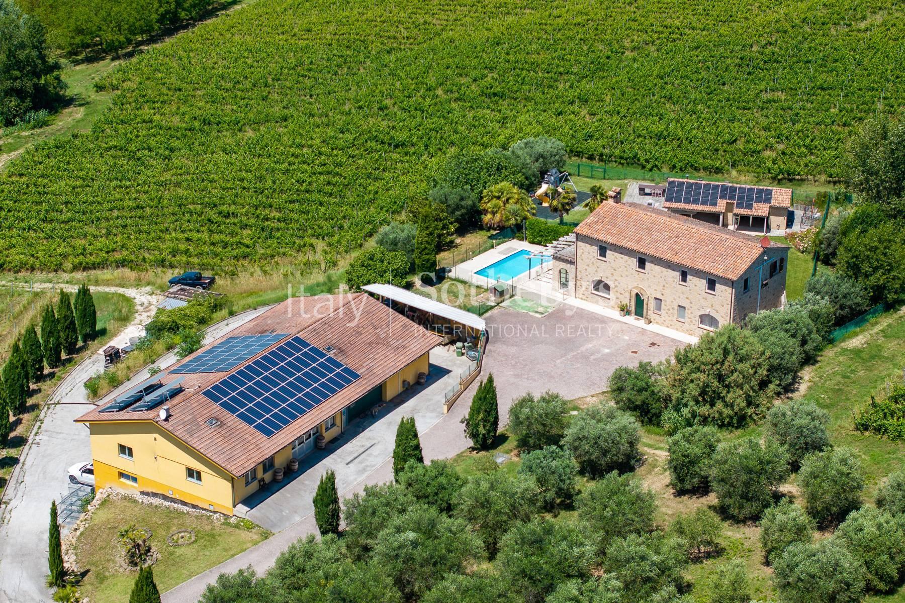 Residenza contemporanea con vigneto vicino al mare - 2