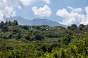 Un’autentica dimora siciliana tra gli agrumeti, il mare e l’Etna, in vendita, Mascali | Sotheby’s Realty Italy - 2