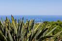 Un’autentica dimora siciliana tra gli agrumeti, il mare e l’Etna, in vendita, Mascali | Sotheby’s Realty Italy - 14