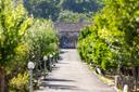 Un’autentica dimora siciliana tra gli agrumeti, il mare e l’Etna, in vendita, Mascali | Sotheby’s Realty Italy - 20