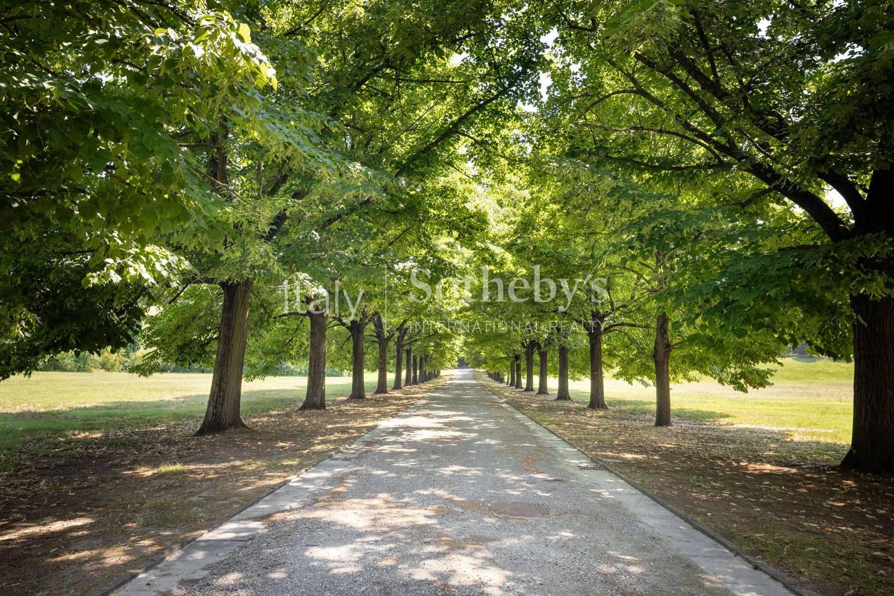 Representative Estate with Three Villas and Private Park - 2