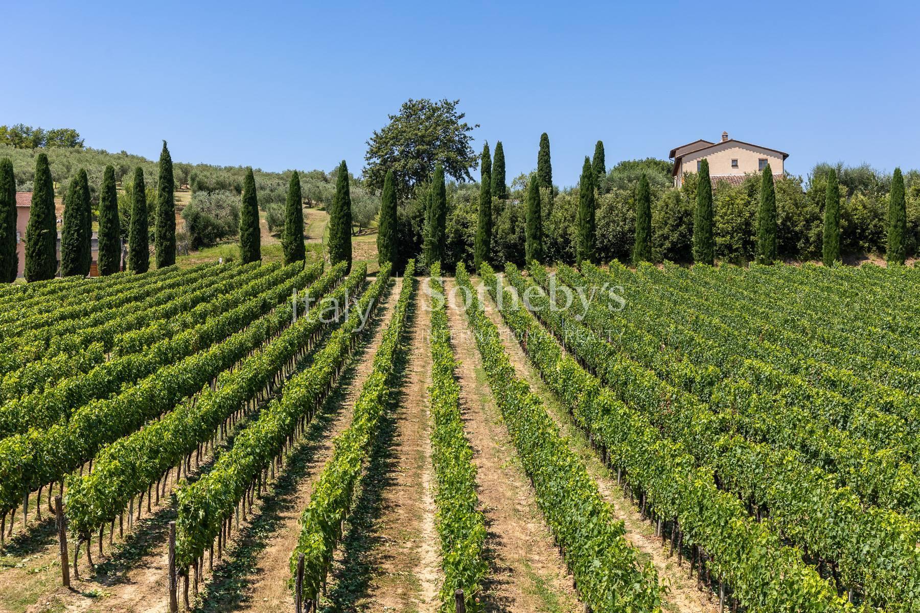 Luxury Wine Estate with Winery & Resort in Tuscany - 3