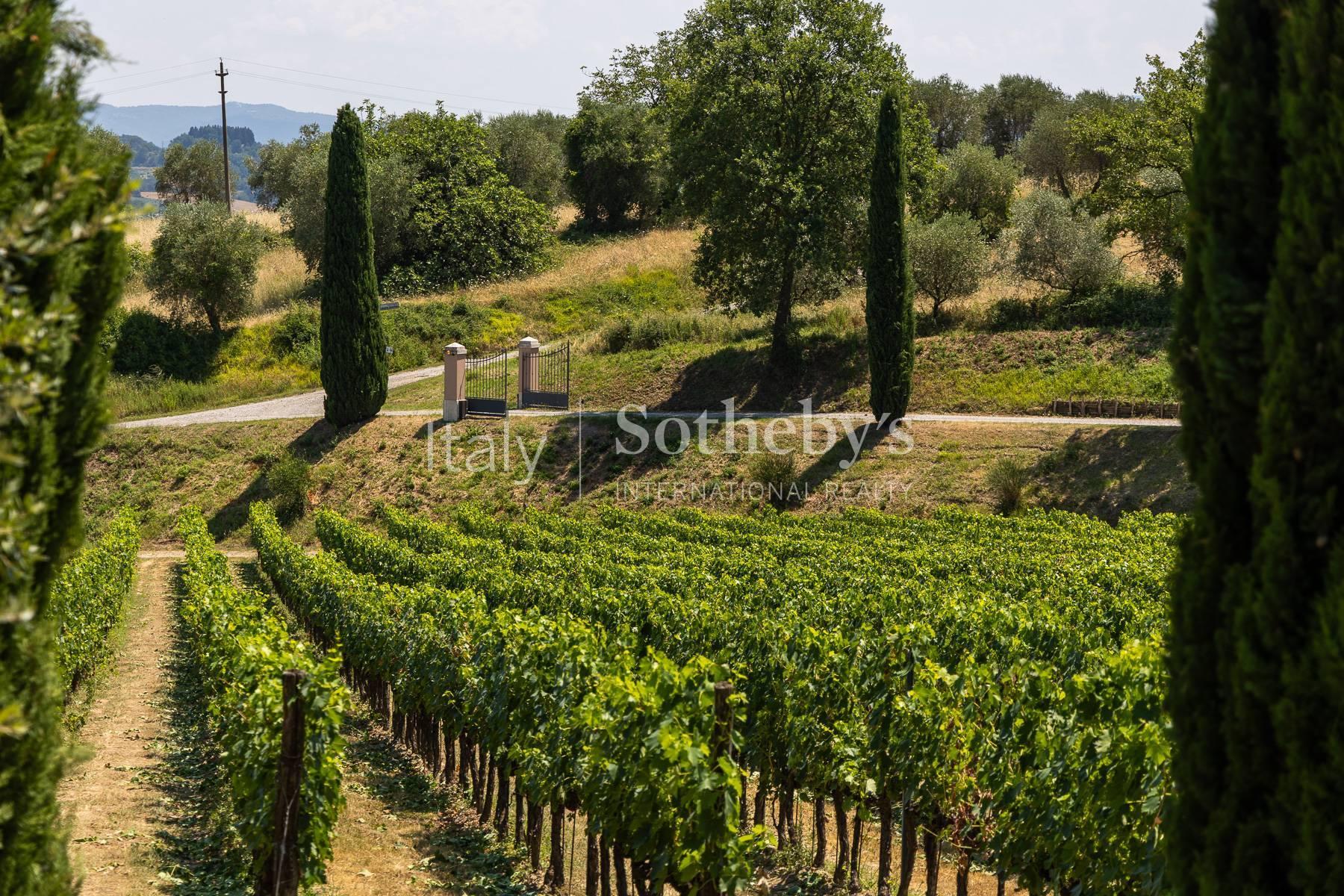 Luxury Wine Estate con cantina e resort in Toscana, in vendita, Sarteano | Sotheby’s Realty Italy - 32