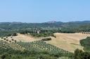 Castello con progetto approvato vicino a Montalcino, in vendita, Civitella Paganico | Sotheby’s Realty Italy - 29