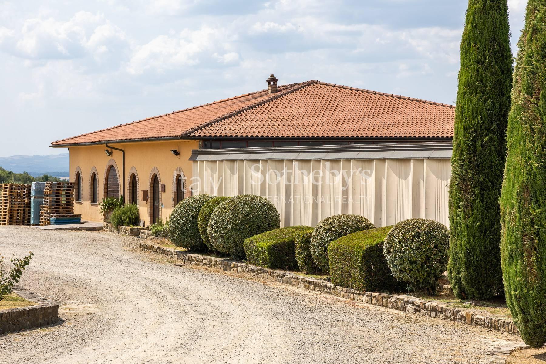 Wine estate in the Chianti Classico area - 6