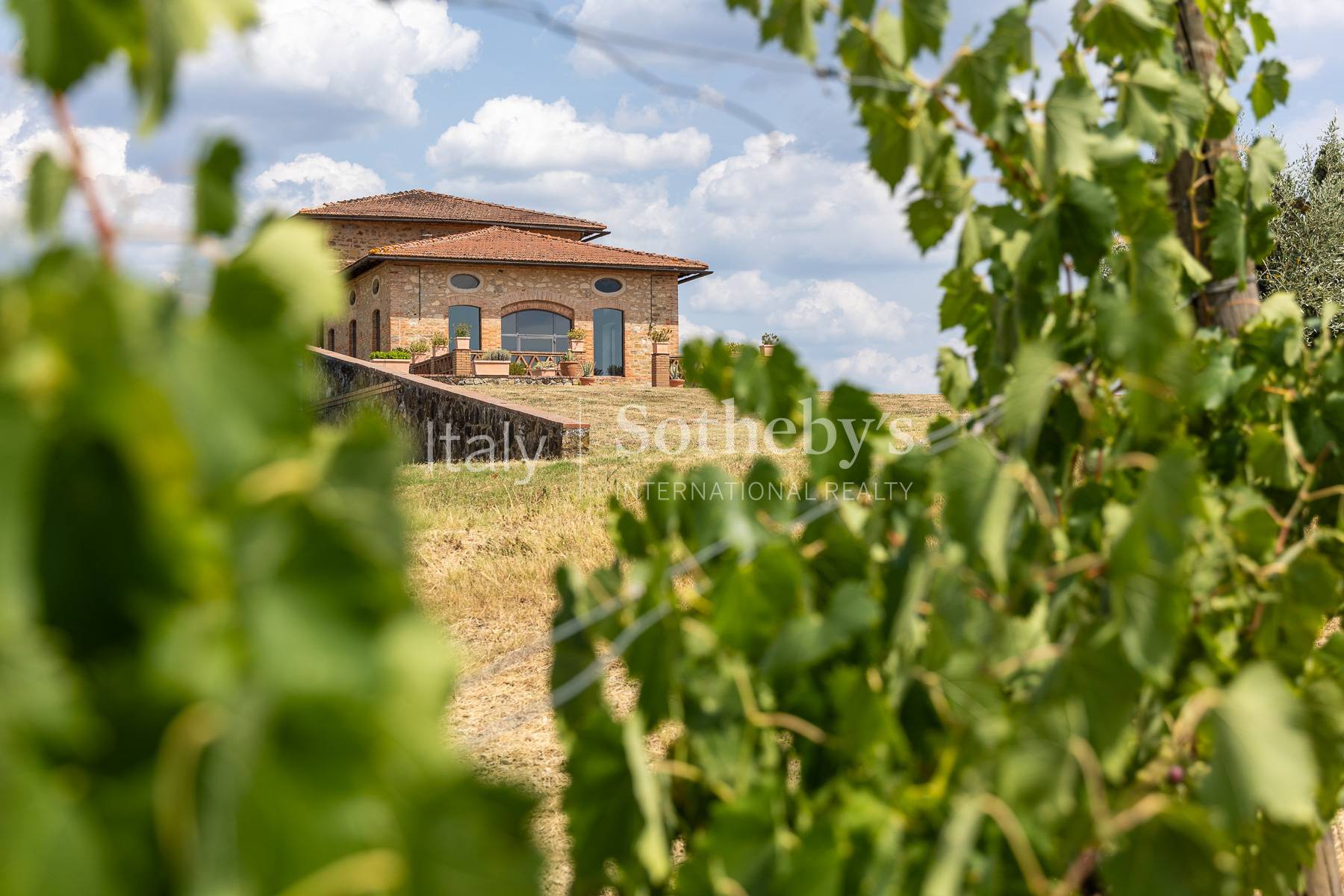 Wine estate in the Chianti Classico area - 3