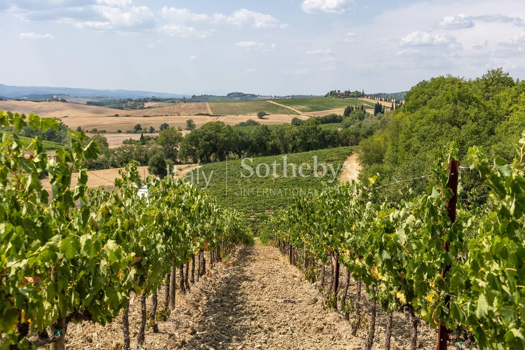 Wine estate in the Chianti Classico area - 5