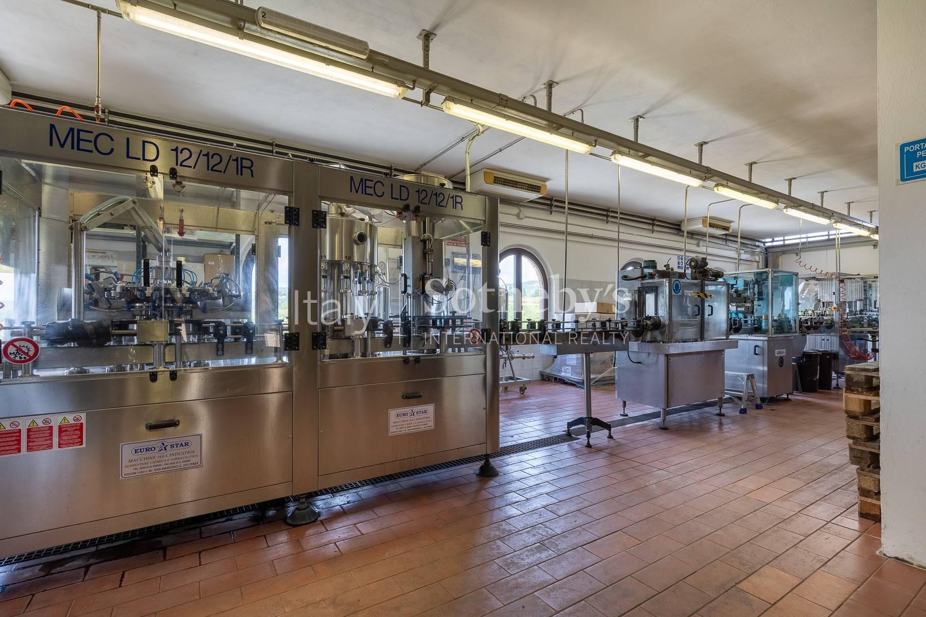 Wine estate in the Chianti Classico area - 8