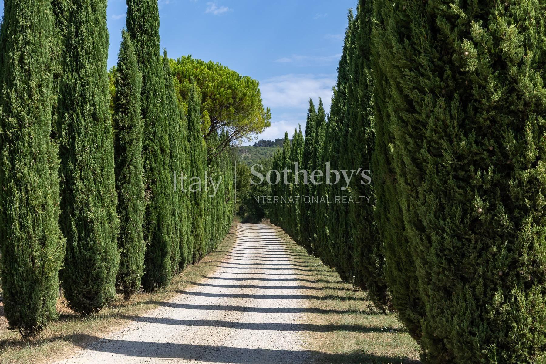 Estate with villa, swimming pool and organic vineyards - 5
