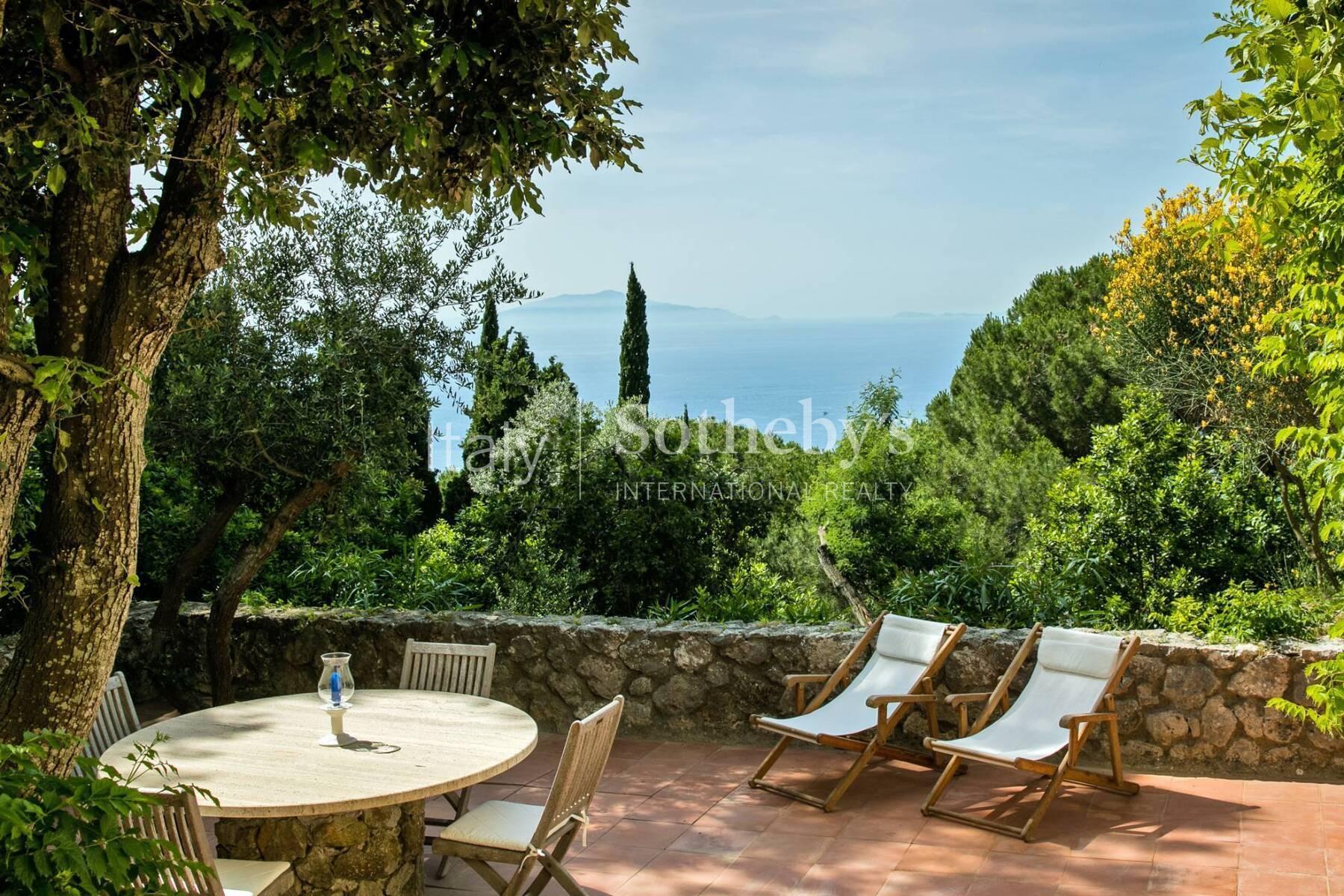Majestic estate with swimming pool and panoramic view - 3