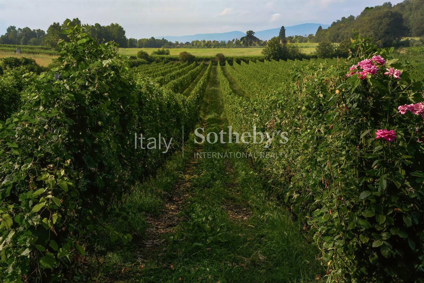 Tenuta storica con parco e vigneto tra Verona e il Garda, in vendita, Sona | Sotheby’s Realty Italy - 20