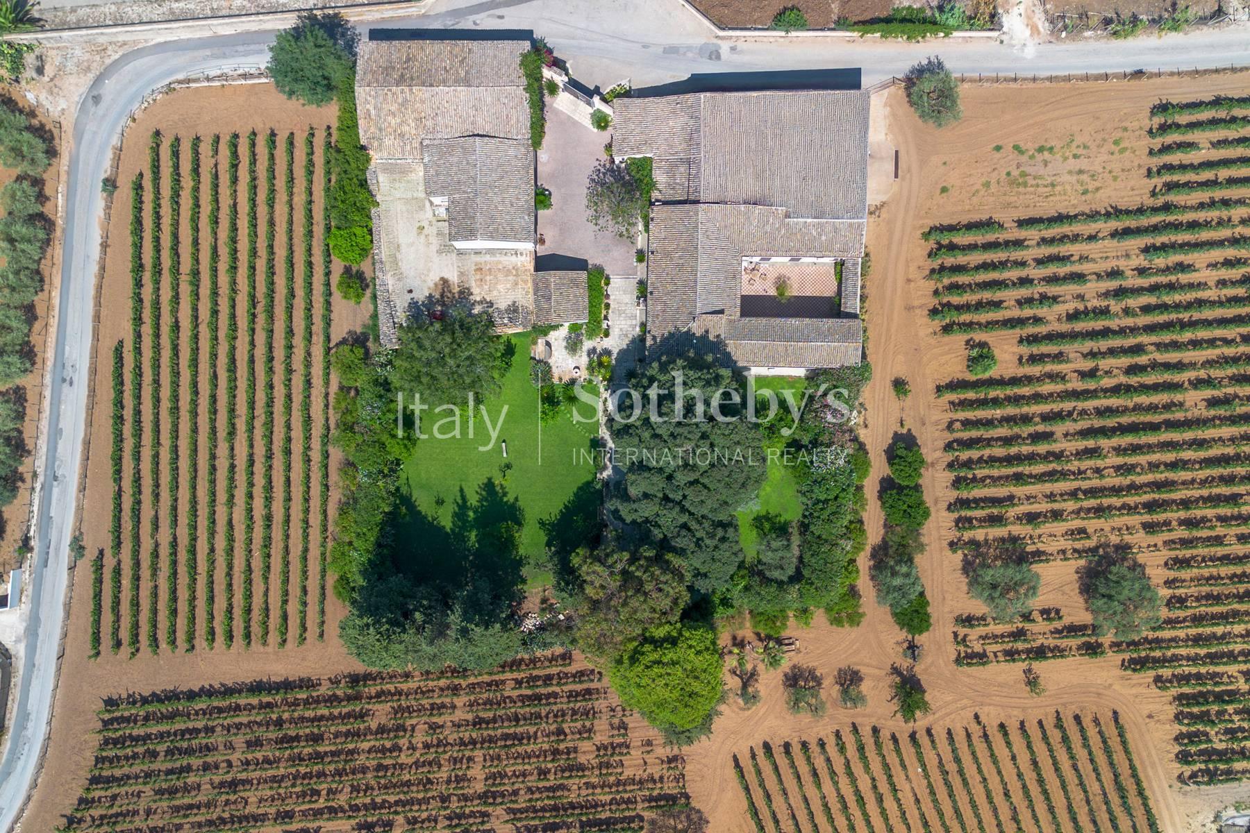 Historic Sicilian wine estate with vineyards and olive grove - 5