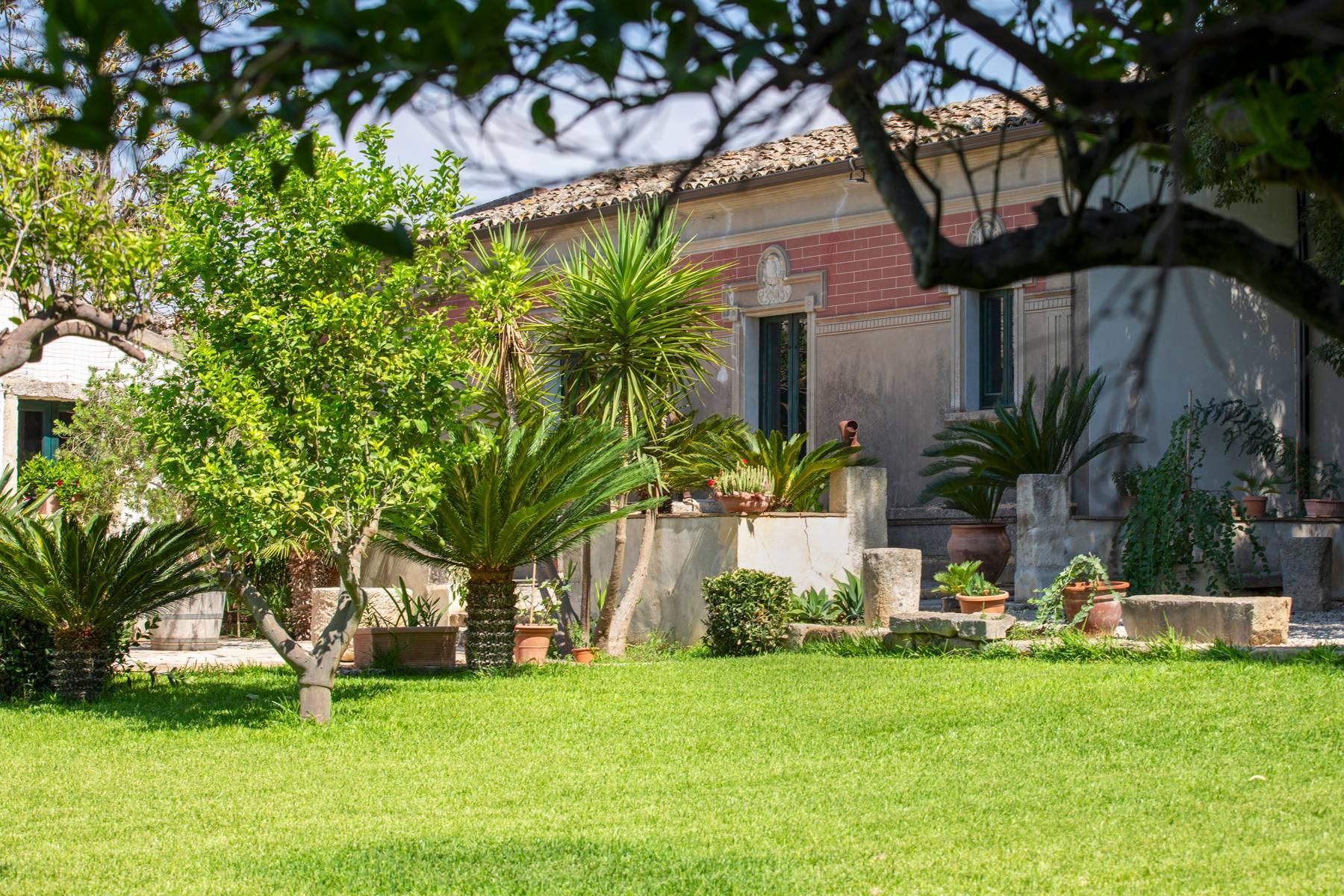 Historic Sicilian wine estate with vineyards and olive grove - 1