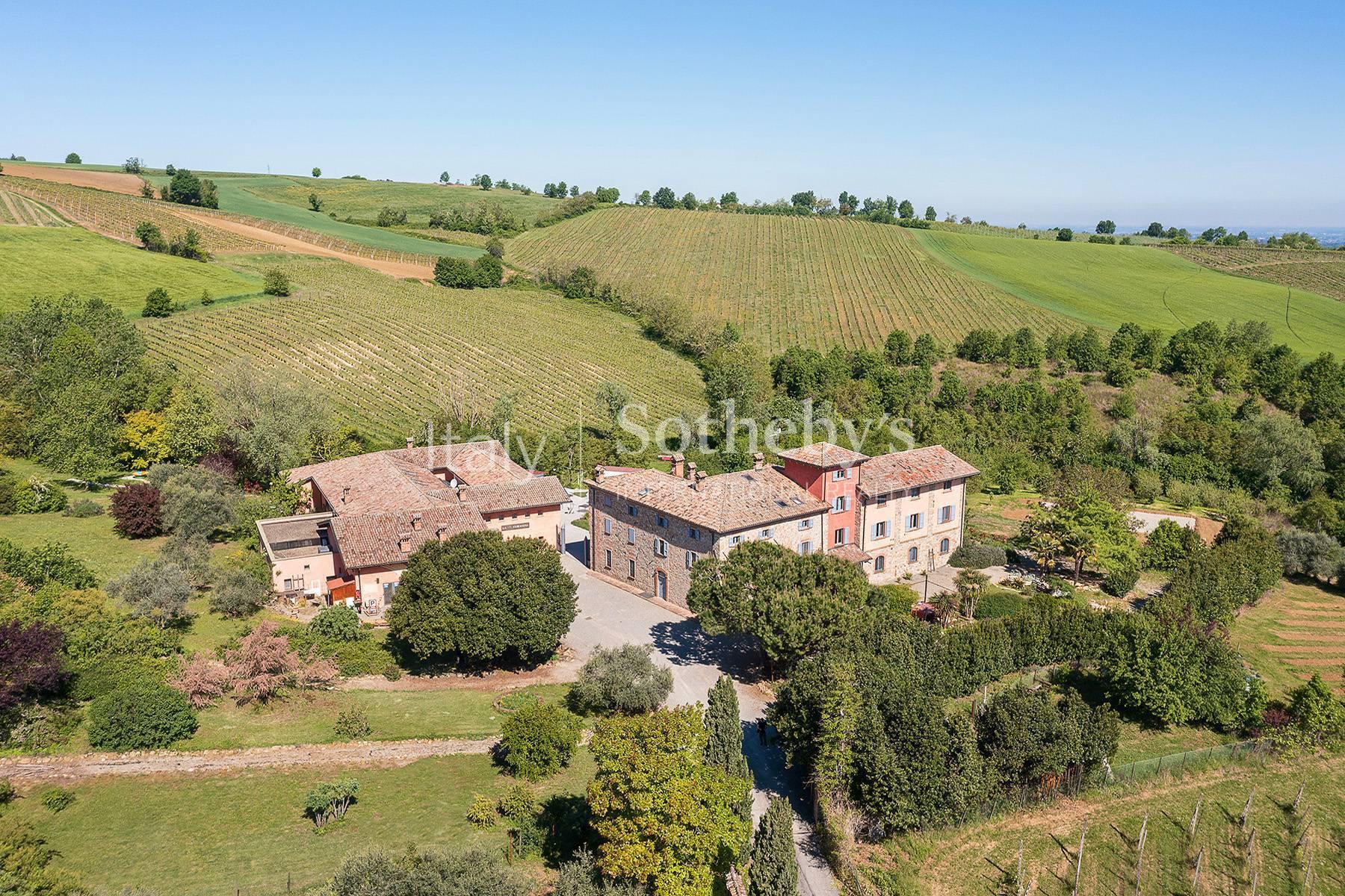 Tenuta vitivinicola con attività ricettiva - 3