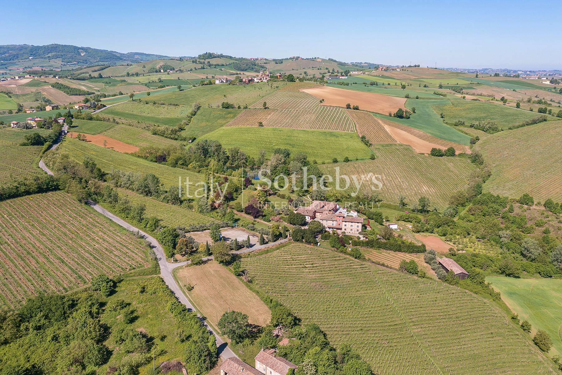 Tenuta vitivinicola con attività ricettiva - 5