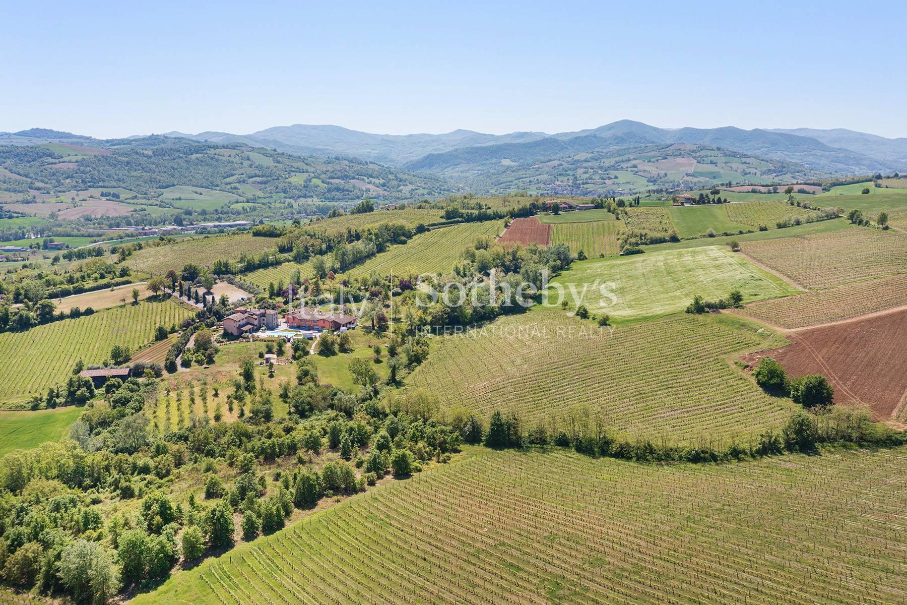 Tenuta vitivinicola con attività ricettiva - 6