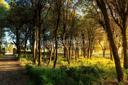 Storico borgo con attività ricettiva nel cuore della Toscana, in vendita, Trequanda | Sotheby’s Realty Italy - 42