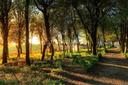 Storico borgo con attività ricettiva nel cuore della Toscana, in vendita, Trequanda | Sotheby’s Realty Italy - 41