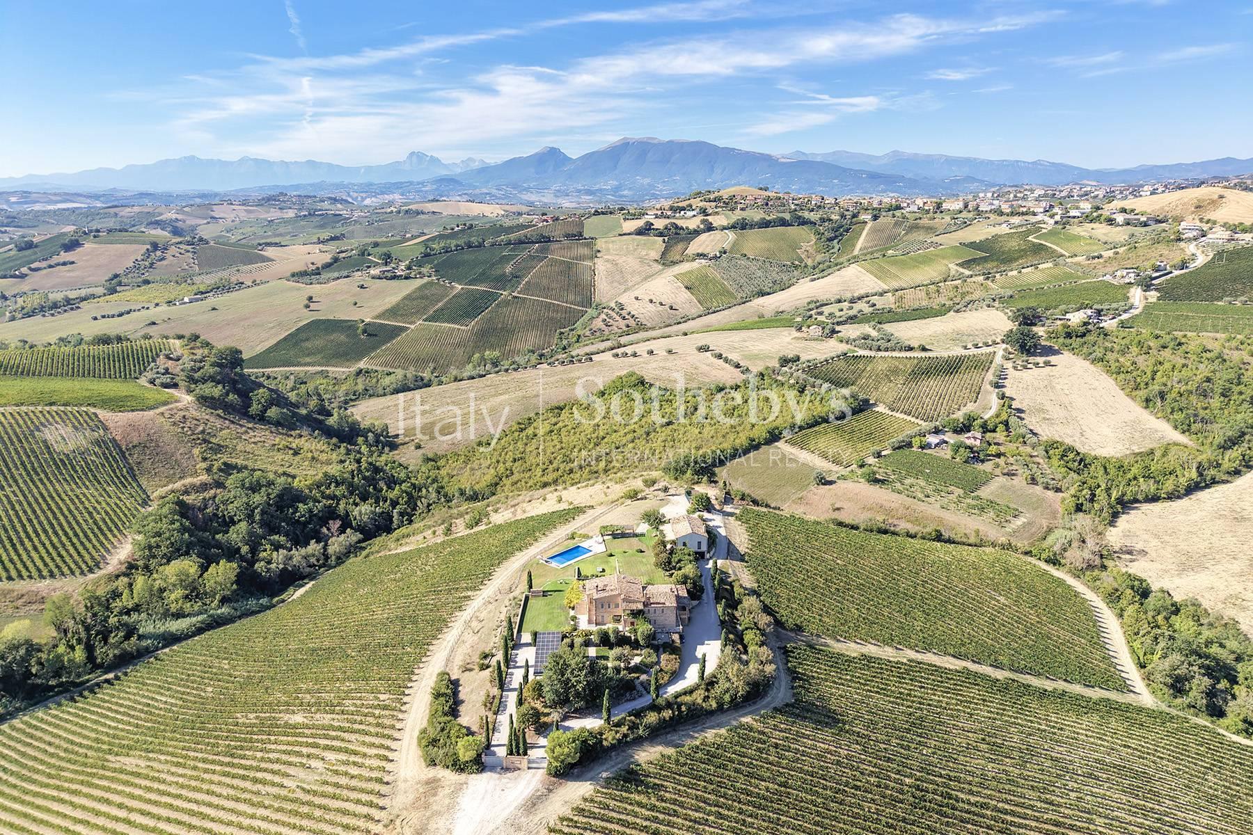 Casale con vigneti e piscina nel cuore delle Marche - 5