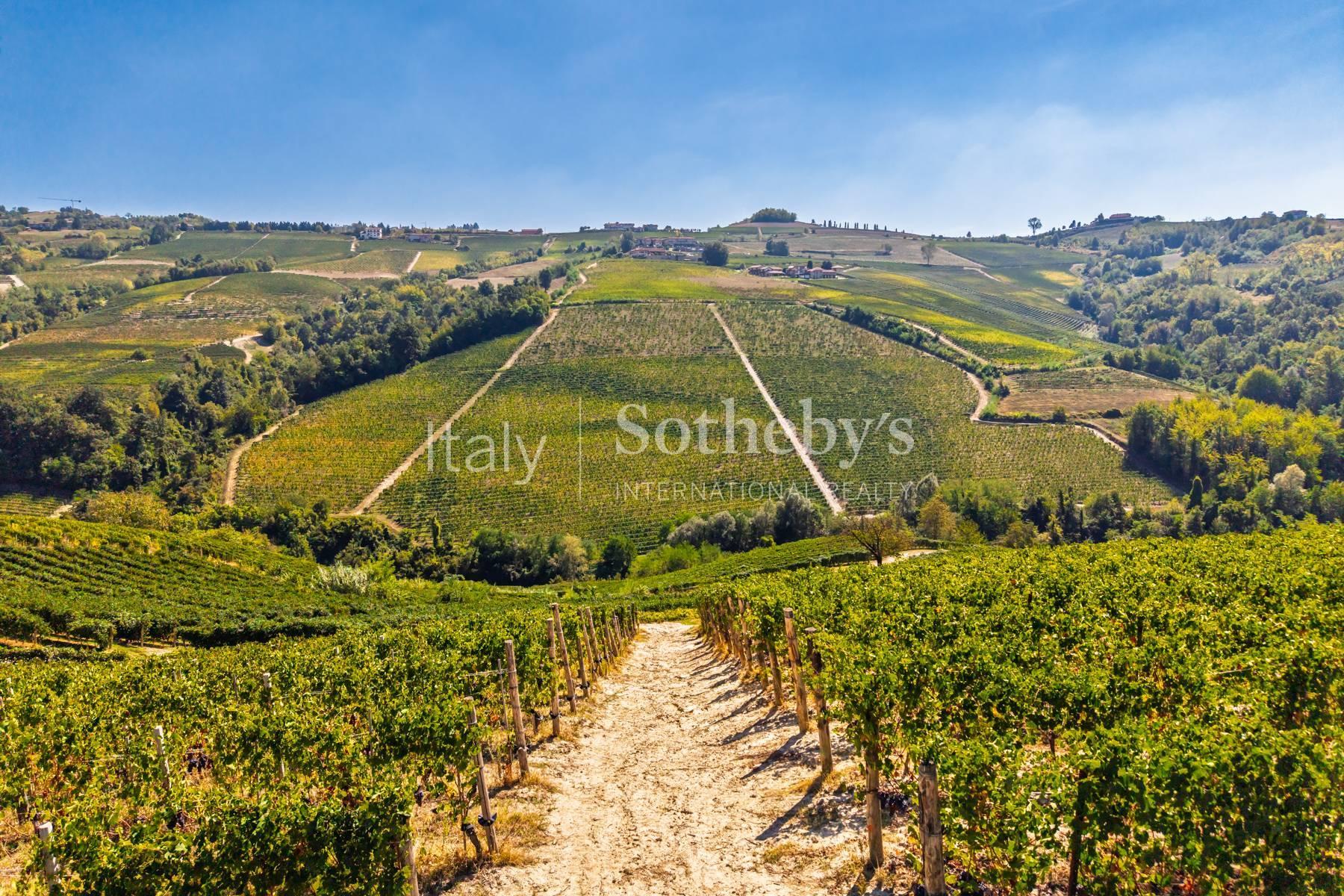 Winery Estate in the Langhe - 4