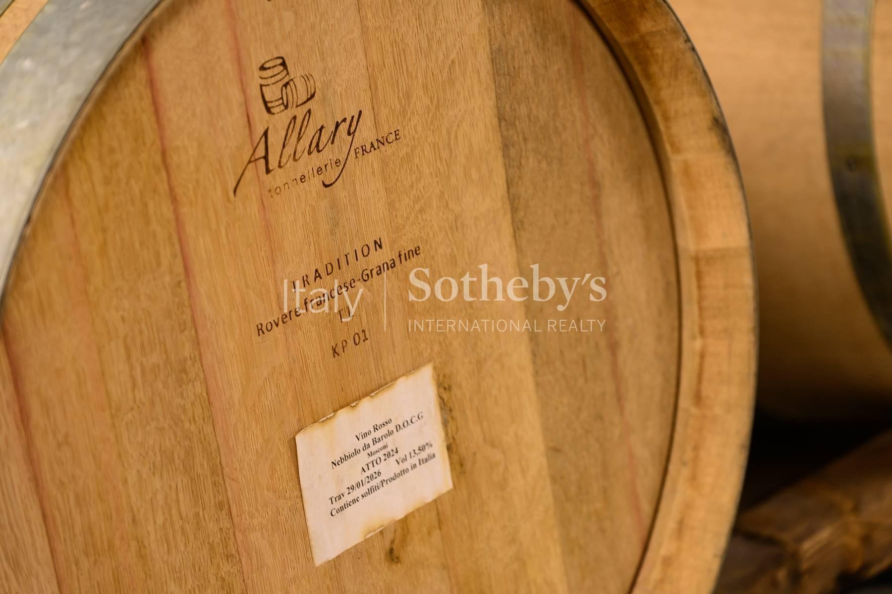 Winery Estate in the Langhe - 7