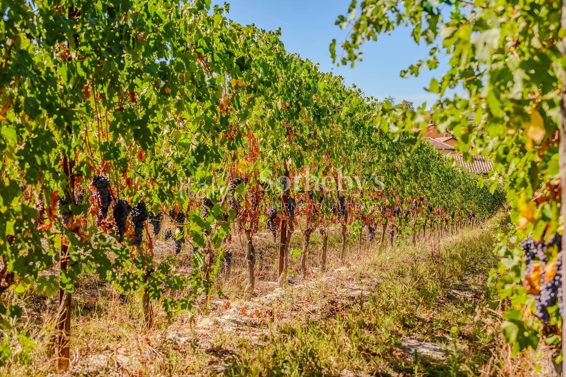 Winery Estate in the Langhe - 5