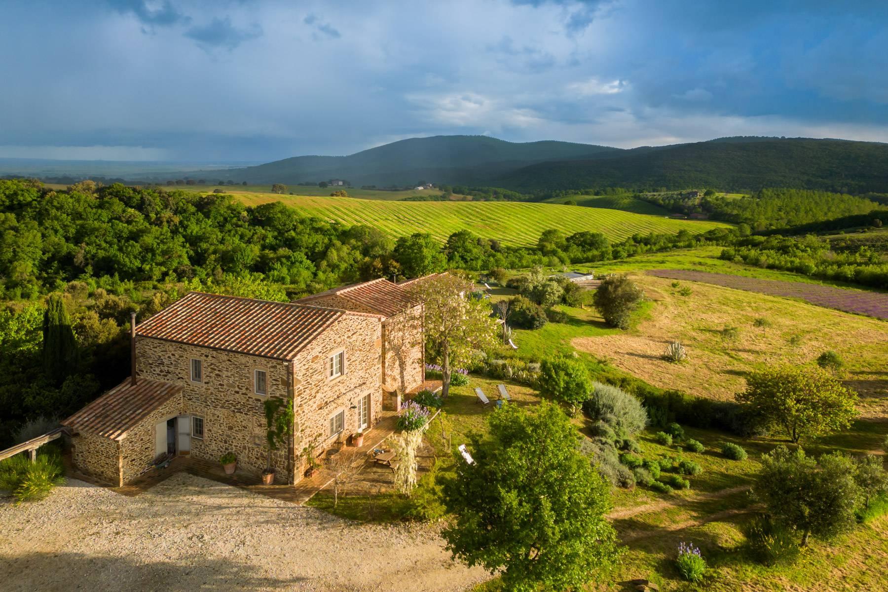 Magnifica Tenuta vicino a Capalbio - 1