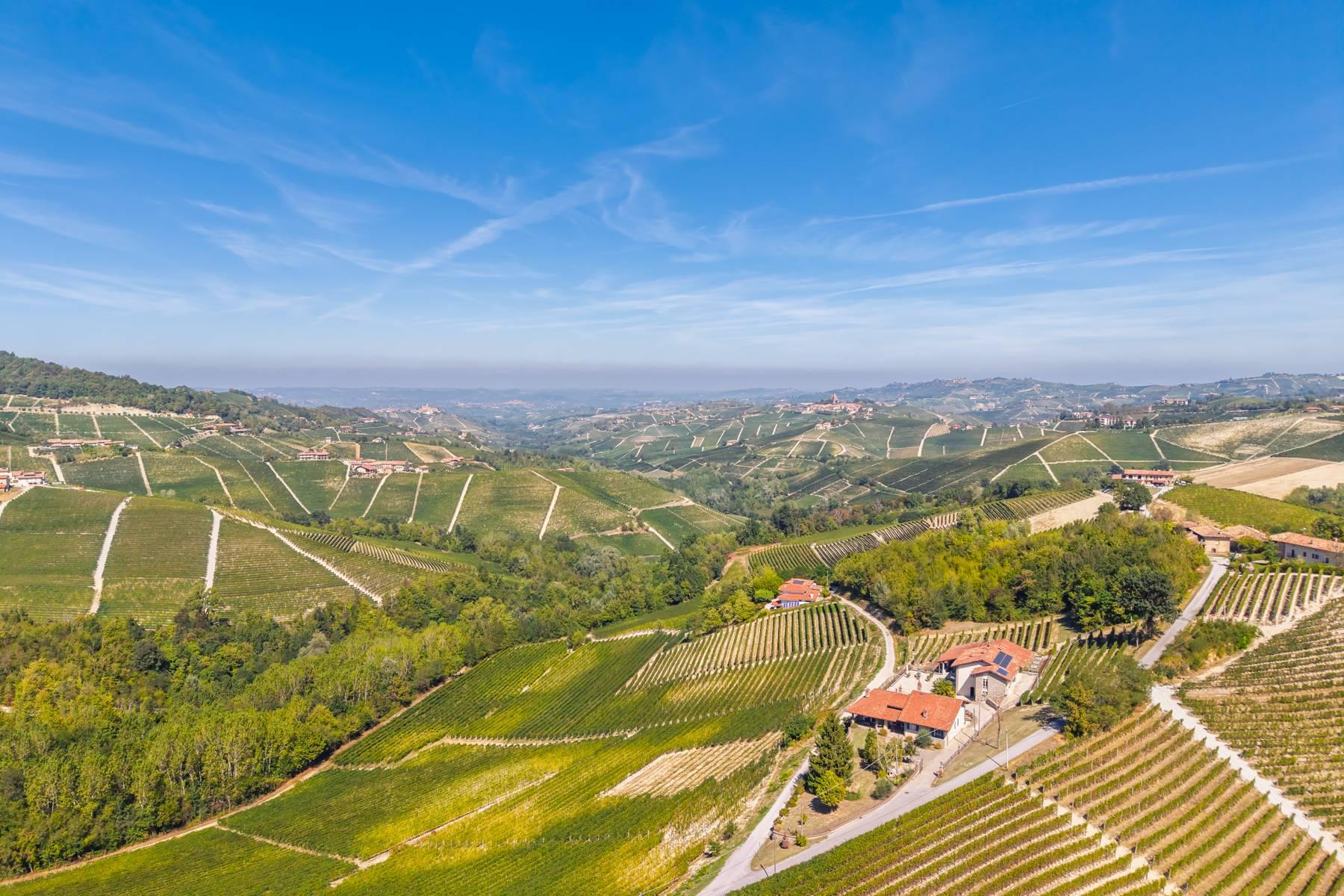 Winery Estate in the Langhe - 1